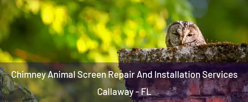  Chimney Animal Screen Repair And Installation Services Callaway - FL