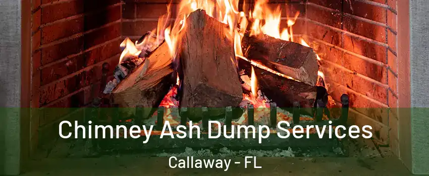  Chimney Ash Dump Services Callaway - FL
