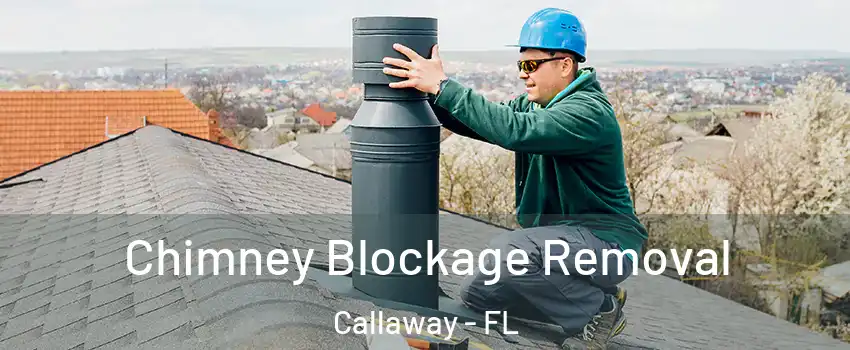  Chimney Blockage Removal Callaway - FL