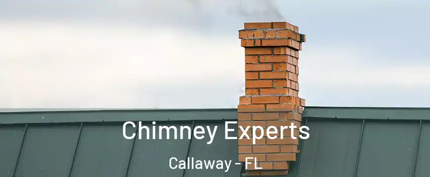  Chimney Experts Callaway - FL
