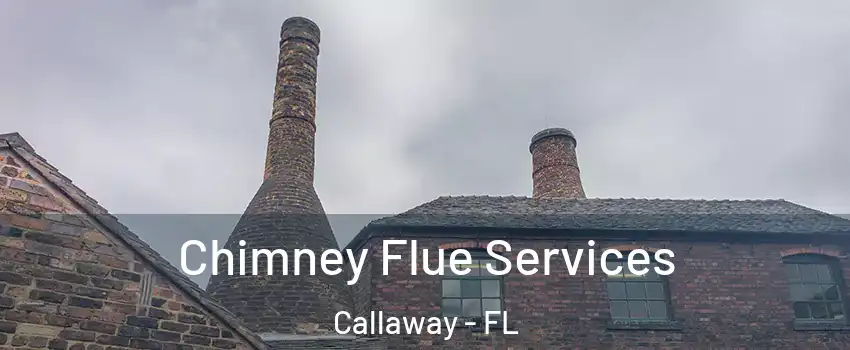  Chimney Flue Services Callaway - FL