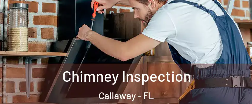  Chimney Inspection Callaway - FL