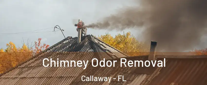  Chimney Odor Removal Callaway - FL