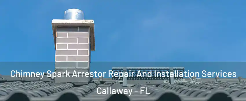  Chimney Spark Arrestor Repair And Installation Services Callaway - FL