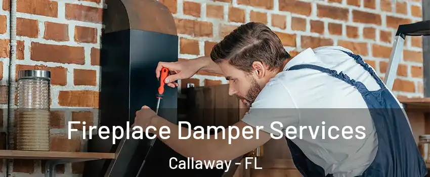  Fireplace Damper Services Callaway - FL
