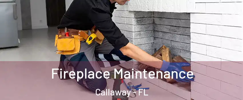  Fireplace Maintenance Callaway - FL