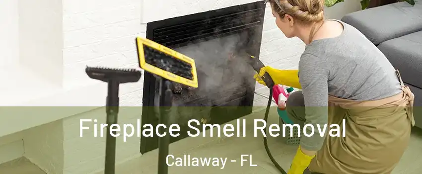  Fireplace Smell Removal Callaway - FL