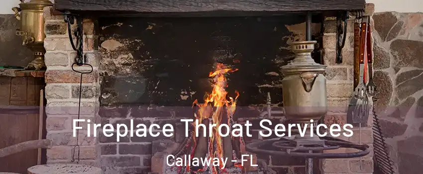  Fireplace Throat Services Callaway - FL