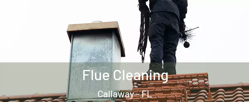  Flue Cleaning Callaway - FL