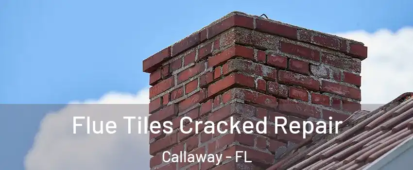  Flue Tiles Cracked Repair Callaway - FL