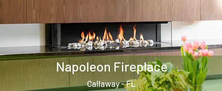  Napoleon Fireplace Callaway - FL